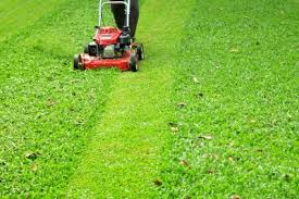 How To Protect Your Lawn This Fall